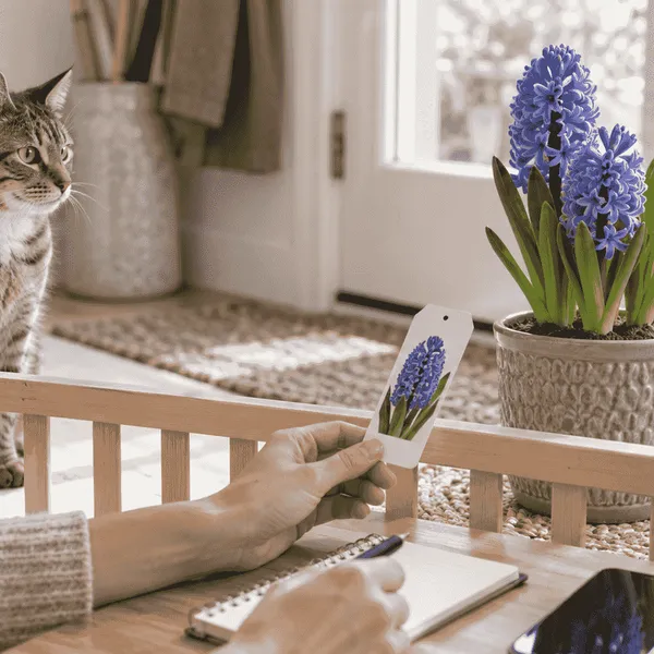 A cat watches from behind a low barrier while a caregiver checks a hyacinth plant label beside a phone and notebook.