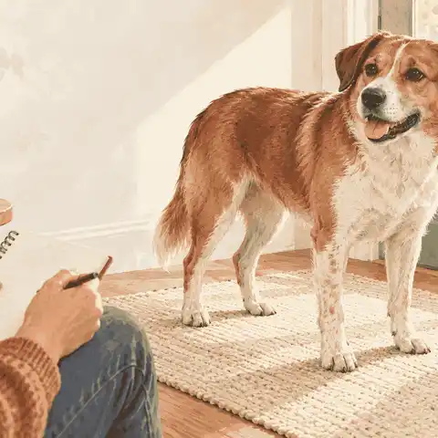 A calm brown dog stands beside a caregiver's notebook while a small furred skin area is left untouched for a veterinary call.